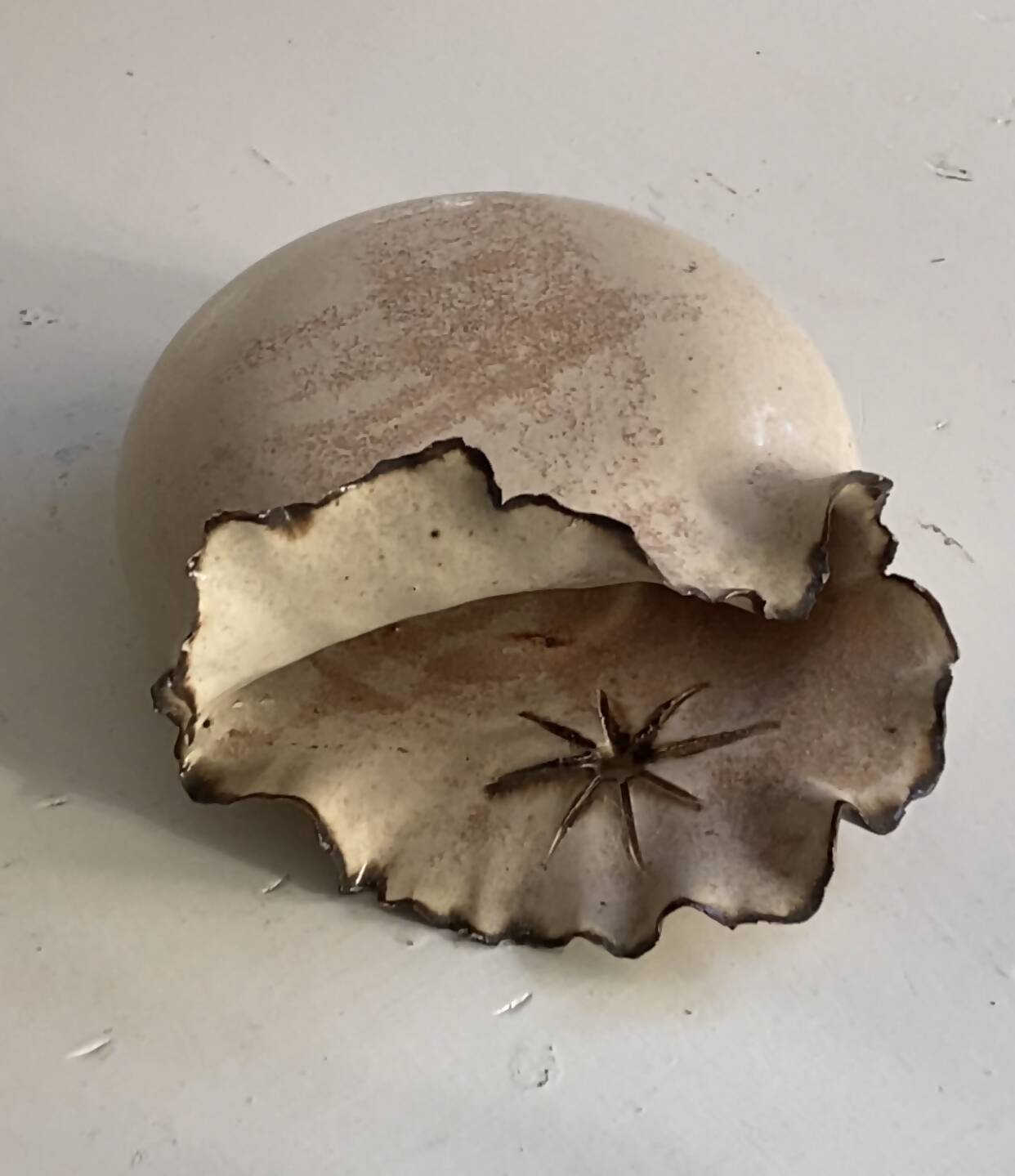 FLOATING CERAMIC VASE
