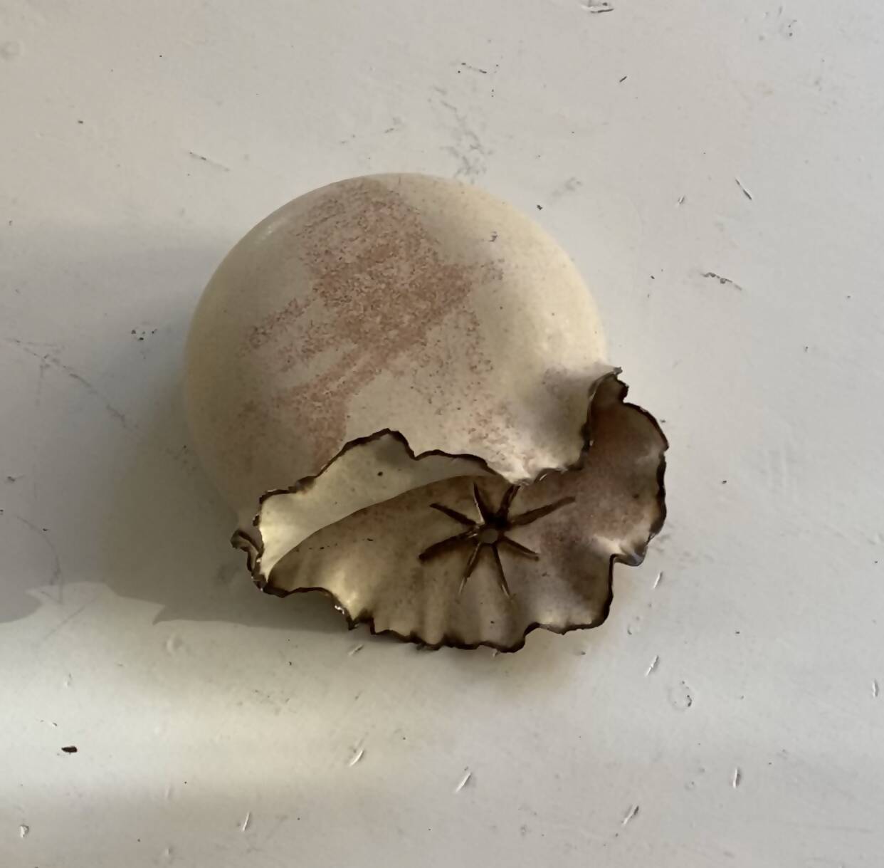 FLOATING CERAMIC VASE
