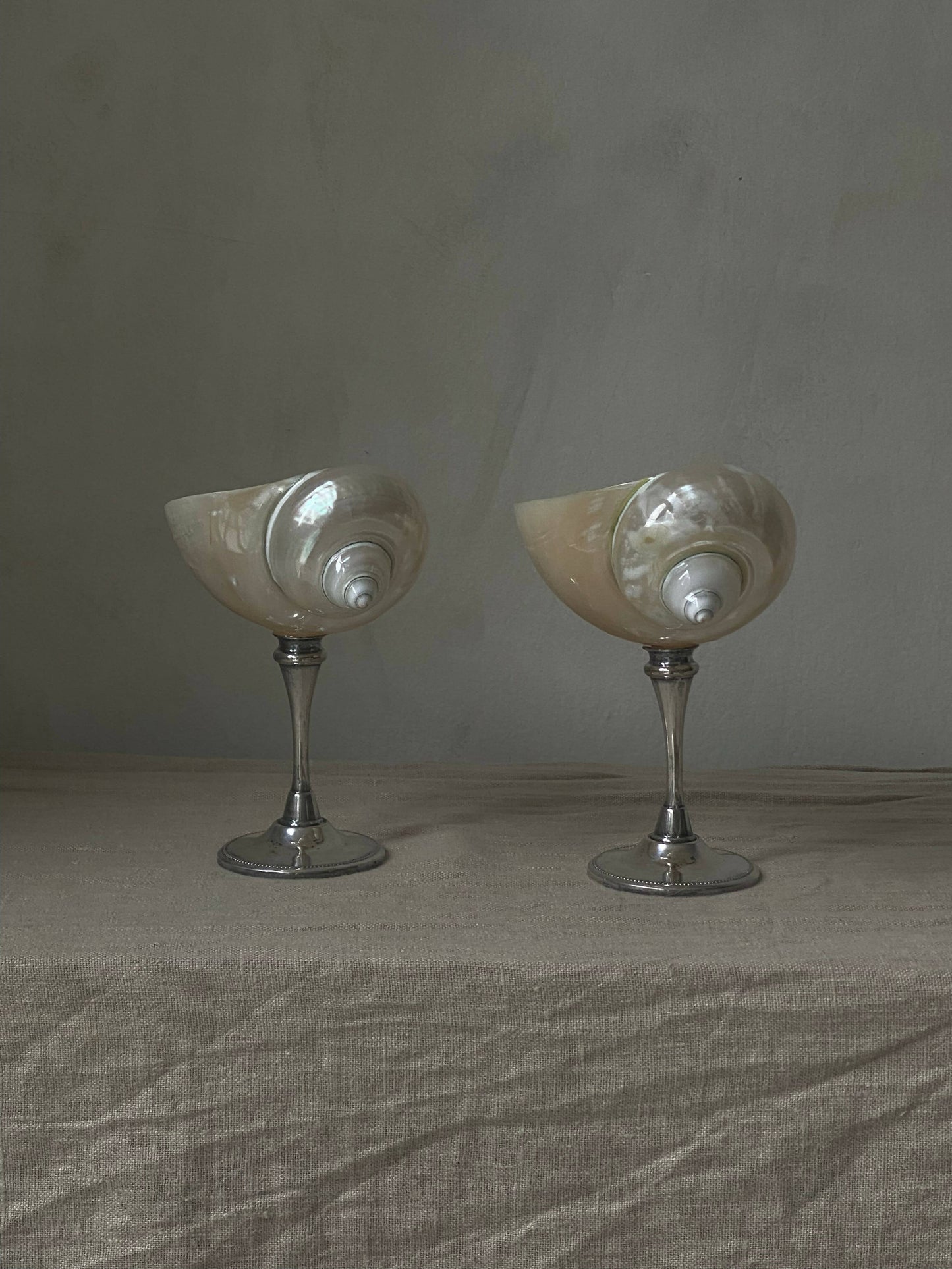 SET OF SHELL GLASSES WITH SILVER PLATED STEMS