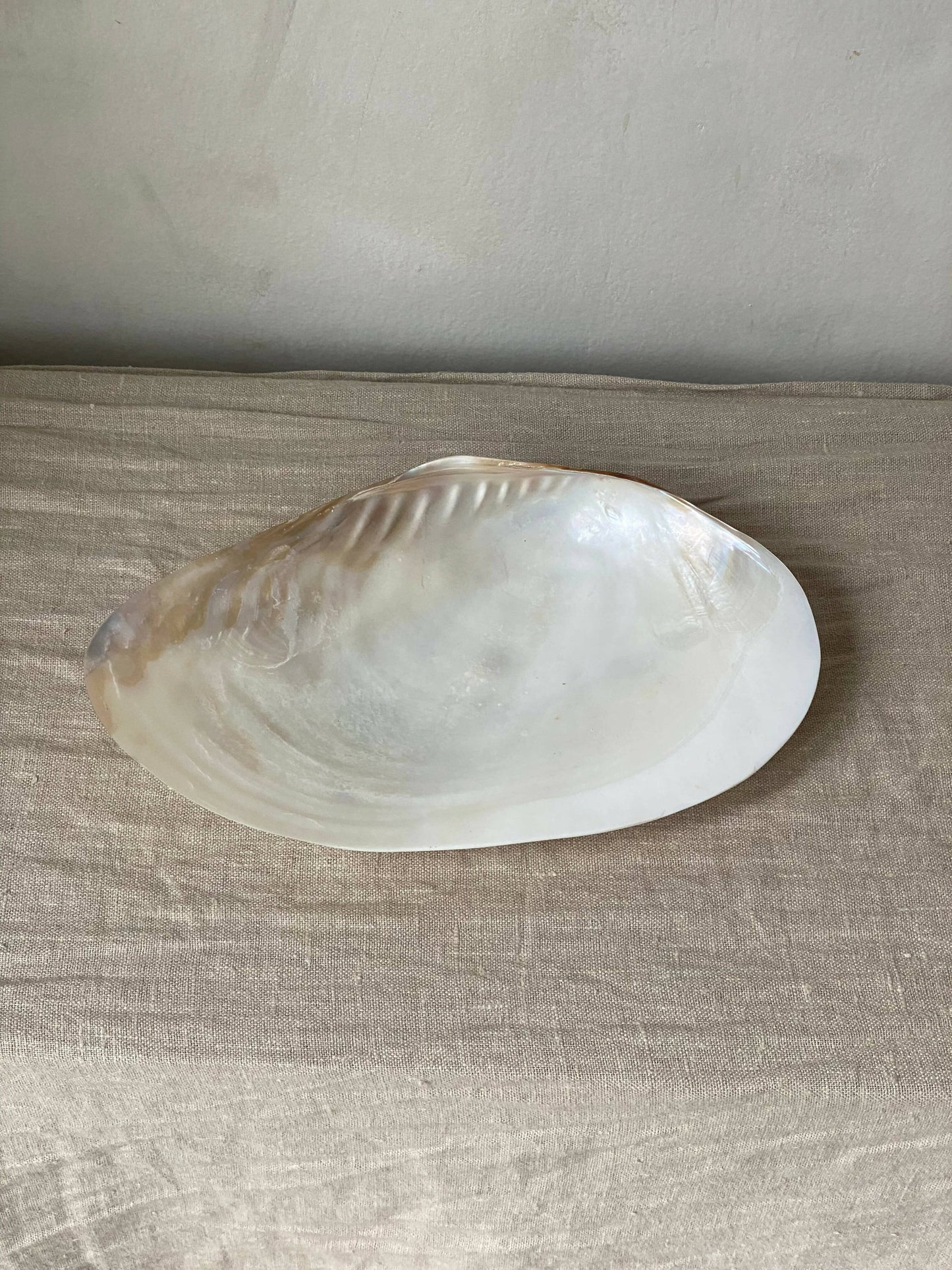 NATURAL SHELL DISH WITH PEARL FEET