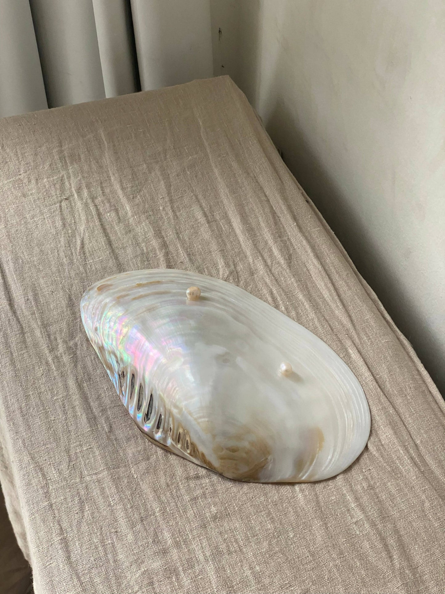 NATURAL SHELL DISH WITH PEARL FEET