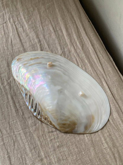 NATURAL SHELL DISH WITH PEARL FEET