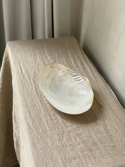 NATURAL SHELL DISH WITH PEARL FEET